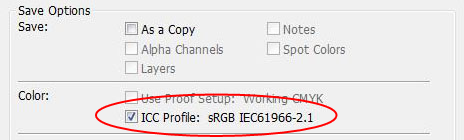 Adobe Photoshop dialog box showing save options with the box checked for ICC Profile