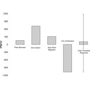 Carbon Cycle Uncertainty and Climate Risk